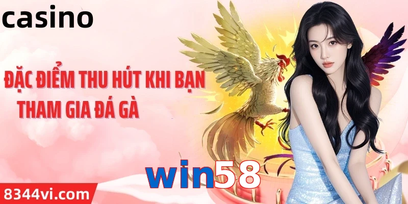 win58