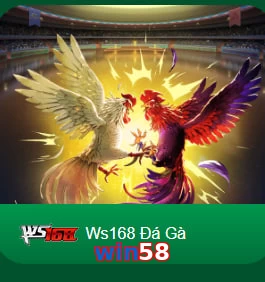 win58